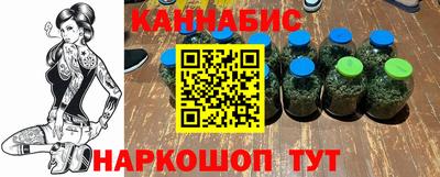 шишки Новокубанск