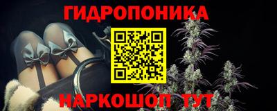 шишки Новокубанск