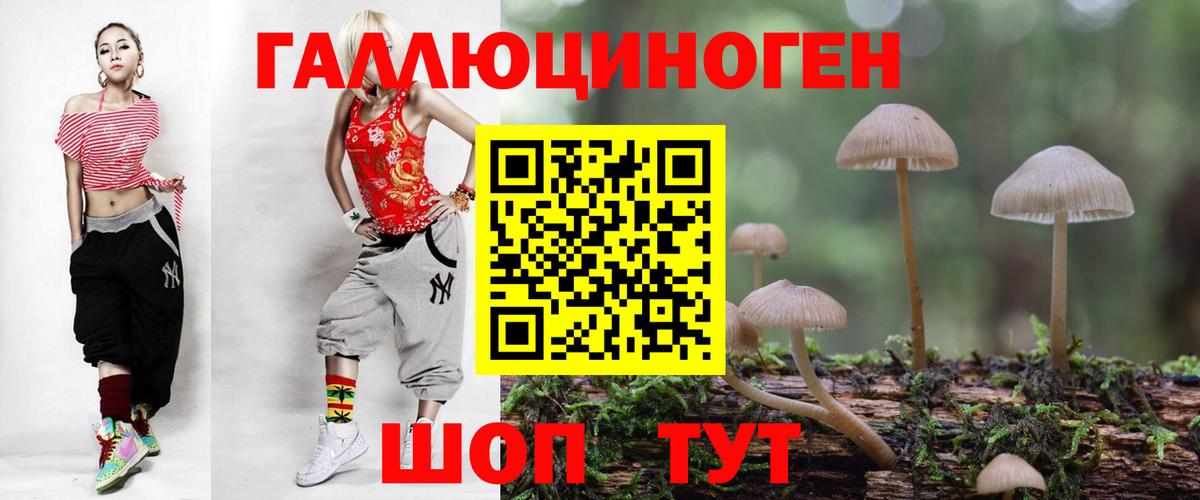 Советская Гавань  Галлюциногенные грибы Psilocybe  Псилоцибиновые грибы GOLDEN TEACHER  Вход с VPN 